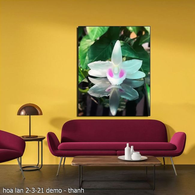 hoa lan 2 3 21  thanh 